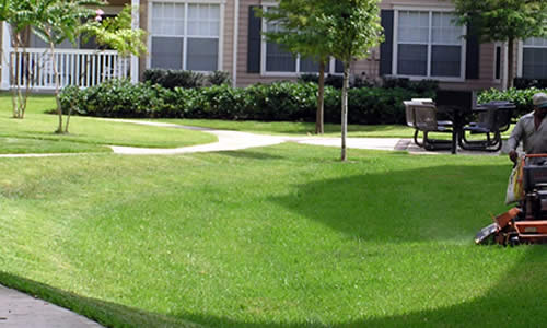Providing Brookfield with professional lawn care services near me